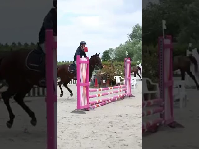 ISTANBLUE - 4 ans   GENTIL, PRATIQUE, BONNE TÊTE