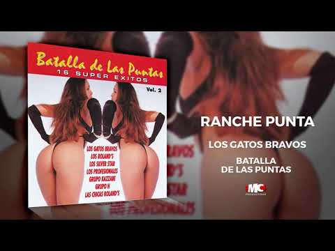 Batalla de las puntas, vol 2 – Los Gatos Bravos - Ranche Punta (Audio Oficial) | Música Catracha