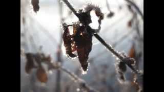 Joe Krapov chante &quot;Poil dans la main&quot; de Jacques Higelin