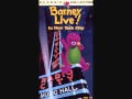 The Barney Bag