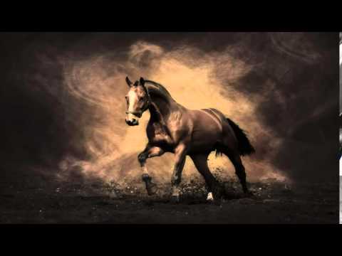 Oliver Shanti & Friends   Crazy Horse