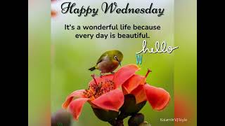 Hello 👋 Good Morning Happy Wednesday gif What’s Up Status Video | Wednesday Images | #wednesday 👍