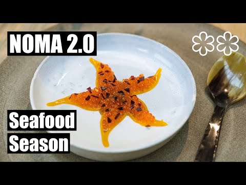 Noma 2.0 Seafood Season – René Redzepi Reopens the World's Most Influential Restaurant in Copenhagen