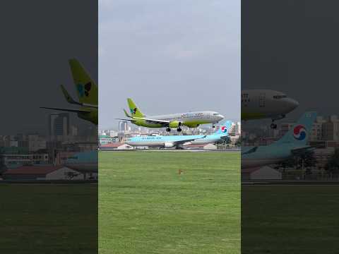 Jin Air 737 landing at Jeju #planespotting #jinair #boeing #737 #aviation #airplane #jeju