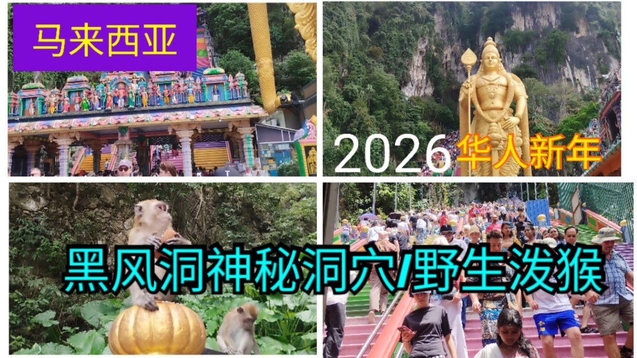 ［马来西亚］大年初三前去黑风洞/野生泼猴/神秘洞穴