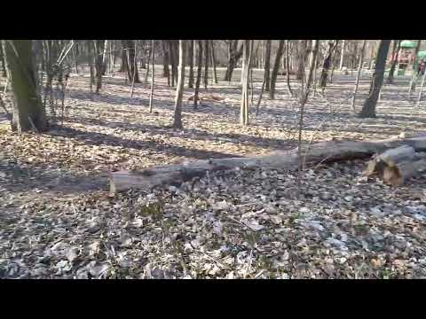 Der Frühling fängt langsam an in Tarnowskie Góry (Polen)