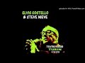 Elvis Costello & Steve Nieve- Shot With His Own Gun, Turin, Teatro Regio, 1998