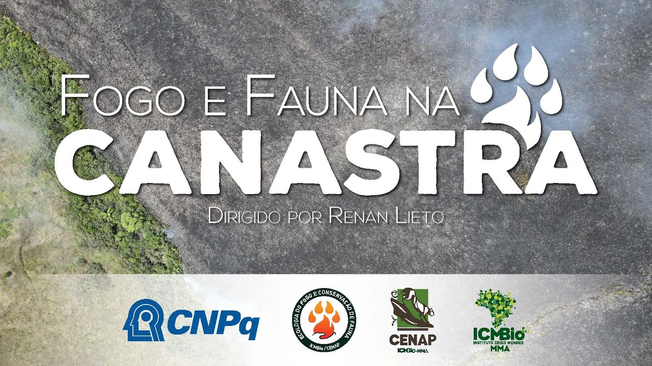 Fogo e Fauna na Canastra