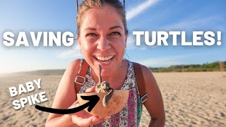 RELEASING BABY TURTLES IN MEXICO // MEXICO TRAVEL VLOG