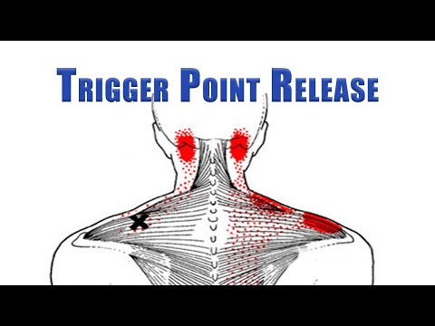Trigger Point Release | Upper Trapezius, Levator Scapulae and Suboccipitals | No Tools Needed