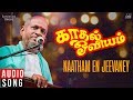 Kadhal Oviyam Movie Songs Naatham En Jeevanae S Janaki Old Tamil Hits Ilaiyaraaja Official