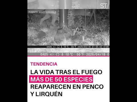 50 ESPECIES REAPARECEN EN PENCO 🐾