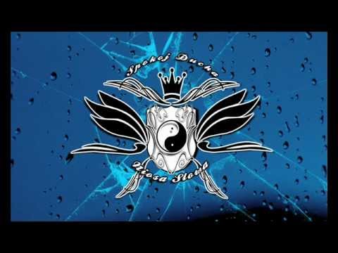 SDNS - Za głosem sumienia feat. Lego