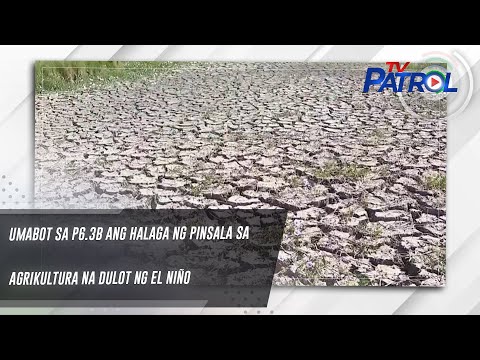 Umabot sa P6.3B ang halaga ng pinsala sa agrikultura na dulot ng El Niño TV Patrol