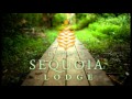 Disneyland Paris - Sequoia Lodge Hotel [SONGS]