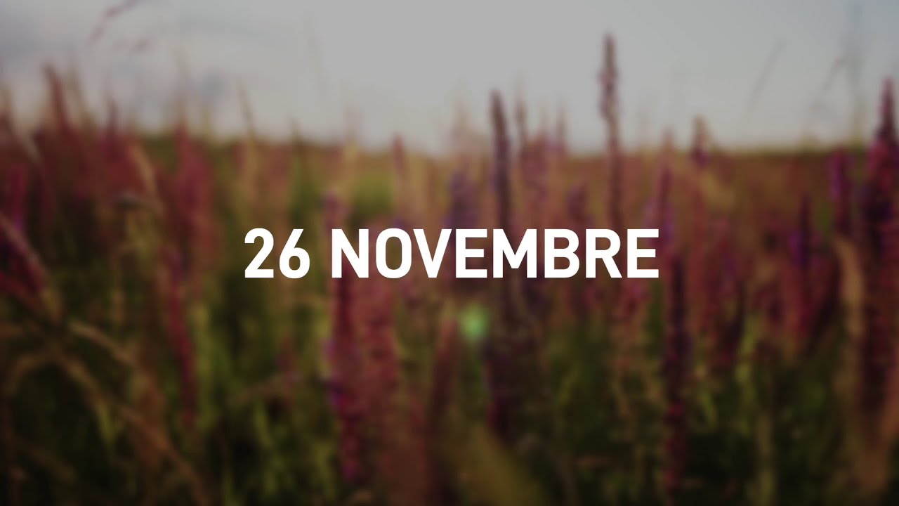 26 Novembre 2025 | Meditazione Parole di Vita