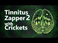Tinnitus Zapper 2 with Crickets and 13 kHz Noise Masking