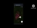 Anu Hot Tango Live Anu Tango Shorts Tangolive Babydoll Reels