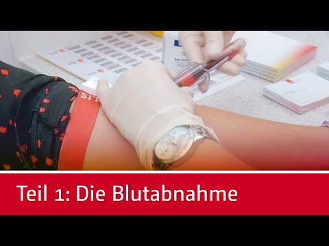 Was passiert mit meiner Blutprobe? Teil 1 – Blutabnahme in der Praxis