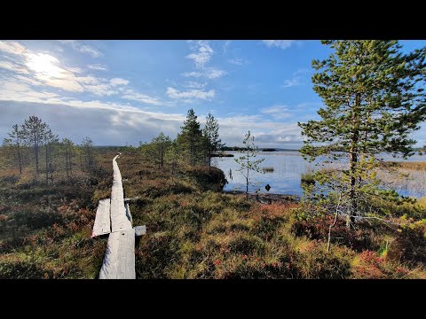 Ketunlenkki - Reposuo