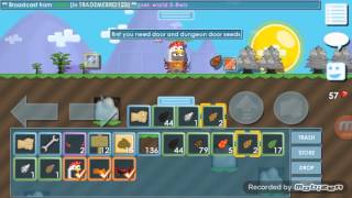 Growtopia:How To Make House Entrance