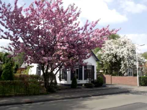 Filmpje Oldeholtpade