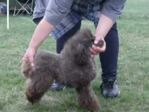 AUX YEUX NOIRS HAKIMA 1