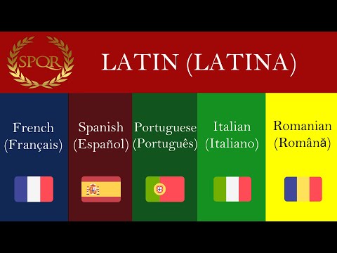 Romance Languages Compared to Latin