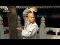 Shaolin Kung Fu Combat Styles: 4. big flood form (大洪拳: da hong quan)