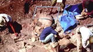 nephilim from Genesis 6 verse 4 were real, ( please read the info for video )