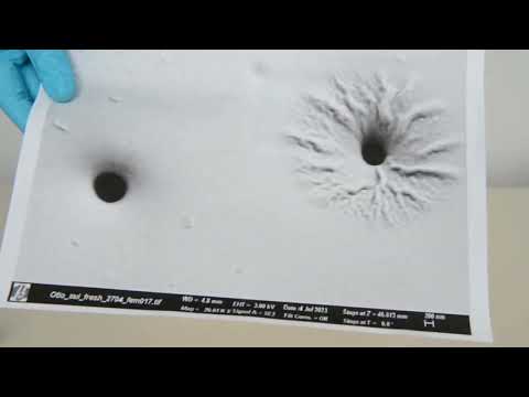 Unbox my PhD - GYSS 2024 Video Pitch Cornelia Pichler