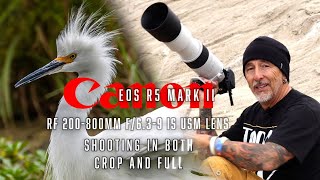 Canon R5 mark II and 200-800mm lens - shooting in crop and full frame - plus a few other things