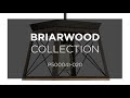 Briarwood_P500041-020