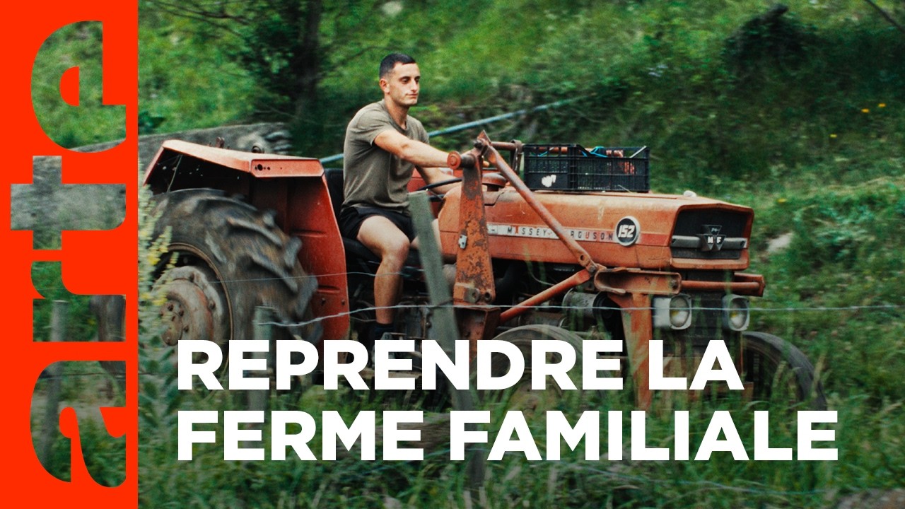 Les météos d'Antoine | VINGT ANS | ARTE