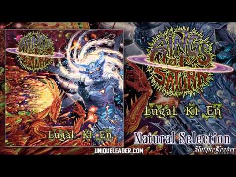 Rings of Saturn-Natural Selection