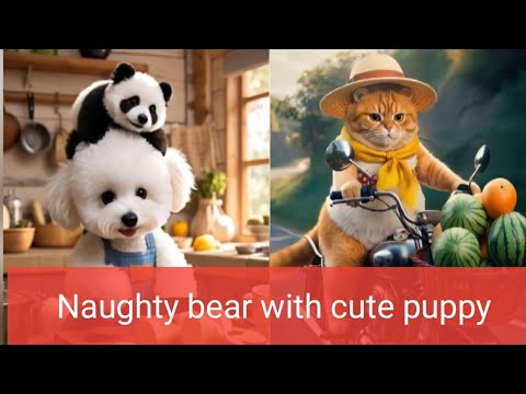 a bear and puppy love❤❤