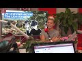 Online op vakantie