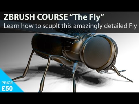 ZBrush Online Training Course - Learn Zbrush Model a FLY!