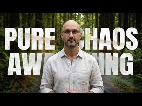 I Drank Ayahuasca for 10 Years. Here's What Nobody Says.