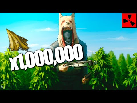 We Built the Largest cloth Farm on Official Rust… Ft Stevie