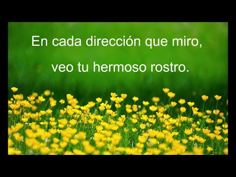 Poesía mística - Un poema de Rumi - "Sin ti"
