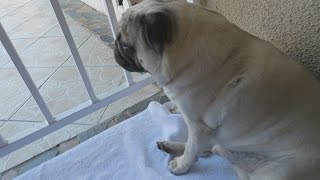 WORST NEWS EVER.. | FaZe Rug