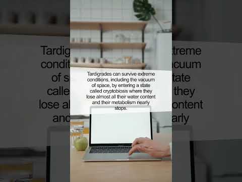 Unlocking the Mystery of Tardigrades: Nature's Ultimate Survivors