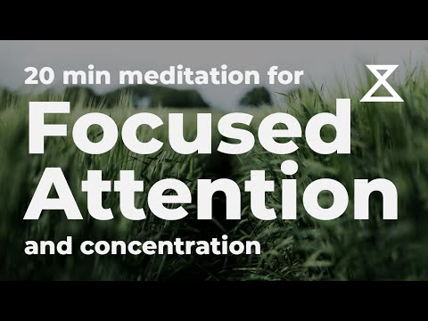 20 Minute Guided Meditation for Focused Attention and Concentration (No Music, Voice Only)