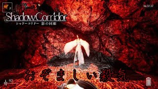おぞましい殺気がこちらに向かってくるshadowCorridor 影の回廊 骸流しの渓谷