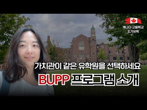 브듀TV 영상