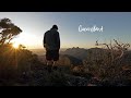 A Night Out At Double Peak Hiking In Mount Barney National Park