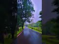 Morning Vibes In Village