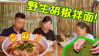 小譚爸媽今天上山了，採好多野生胡椒拌面香麻了，你們吃過野生胡椒嗎？#我的乡村生活 #农村美食 #家庭#小小譚 #農村生活 #美食