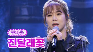 양지은 - 진달래꽃